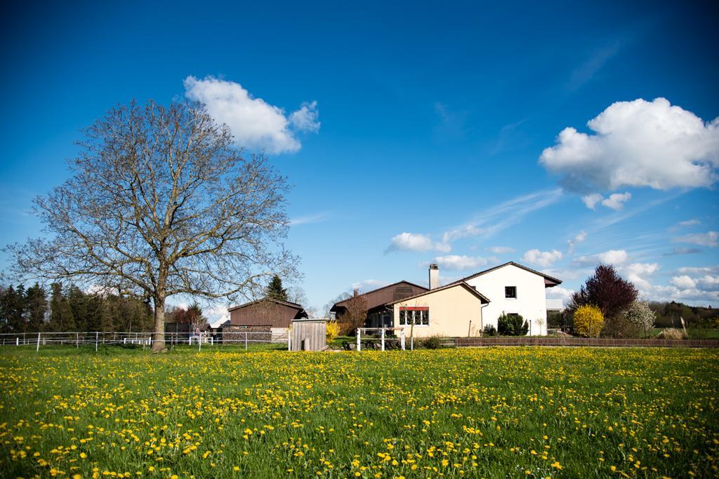 Hof-Tschannen Lengwil Exterior foto